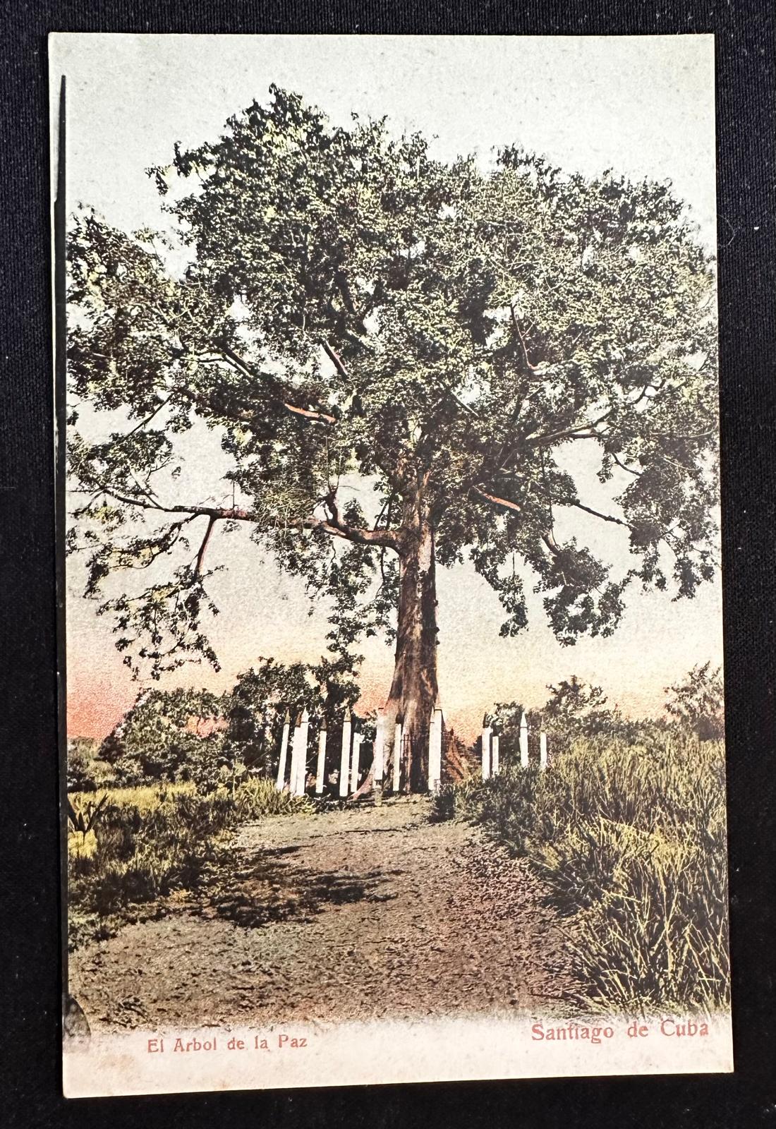 c.1900–1906 Cuba El Árbol de la Paz Santiago – Early Undivided Back Postcard