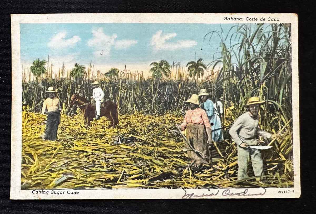 Vintage Cuba Sugar Cane Harvest Postcard – Habana Corte de Caña – C. Jordi