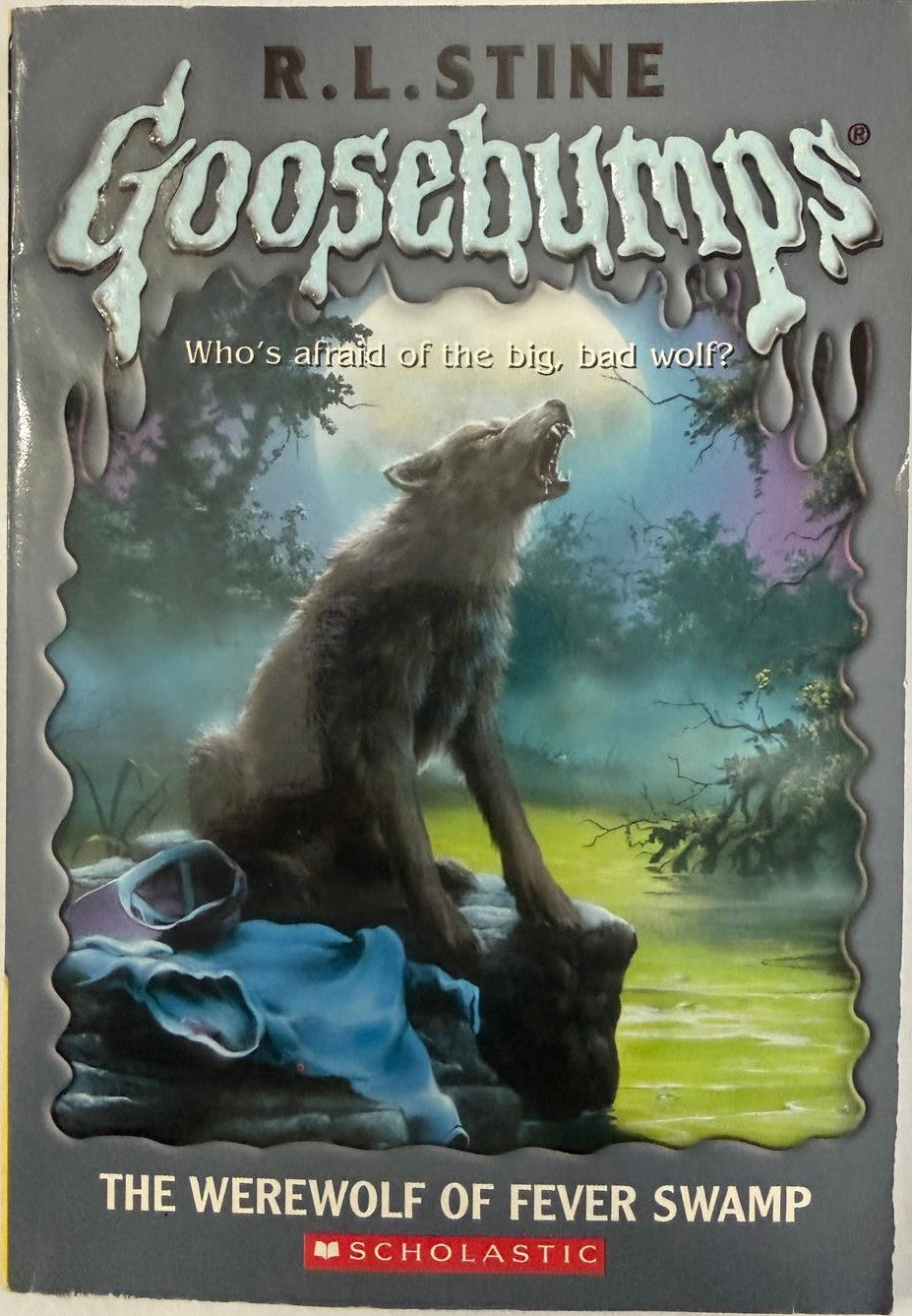 Lote de 4 libros de bolsillo de terror y fantasía de los años 90: Goosebumps, Nightmare Hall y Bruce Coville